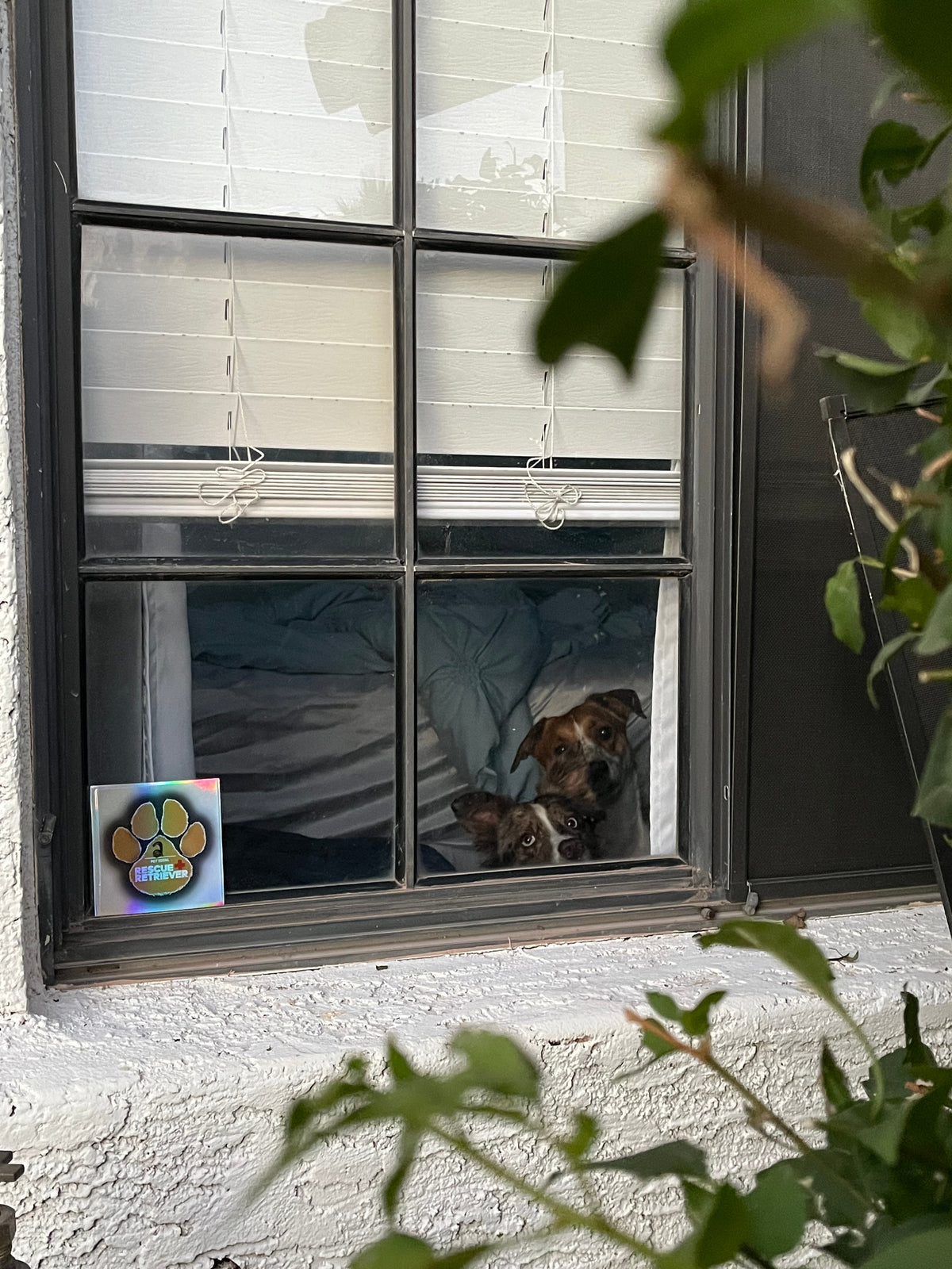 Rescue Retriever® Reflective Pet Alert Safety Sticker 2 Pack | Pets Inside Fire Rescue Decal| Window Door Sign | Designed by a Firefighter